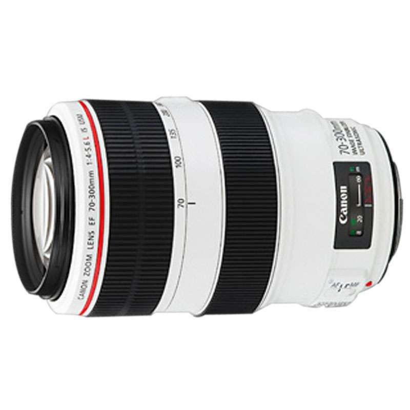 佳能(Canon) EF 70-300MM f/4-5.6L IS USM 远摄变焦镜头