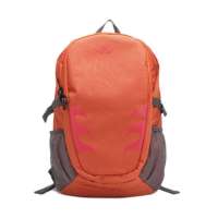 威王兜风心情系列电脑双肩包1003-5-L1-S橙