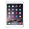 Apple iPad mini 银色 16G WLAN版 7.9英寸平板电脑 MD531CH/A