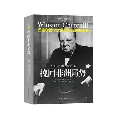 《世界大战丛书8-挽回非洲局势》