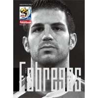 南非世界杯明星-法布雷加斯