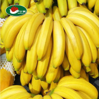 宁果果品 菲律宾香蕉4斤装 新鲜进口水果 鲜果【报价大全,价格,商铺】
