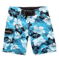 杰莱特2014新款夏季<em>男士沙滩裤 短裤</em>五分裤 居