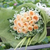 花袭人 鲜花速递全国19朵香槟玫瑰鲜花圣诞节