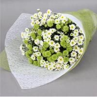 花袭人 鲜花速递 19朵郁金香鲜花快递 爱情鲜花