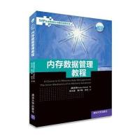 内存数据管理教程(SAP企业信息化与最佳实践