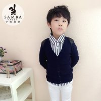 小兔森巴儿童毛衣 2015秋<em>男童</em>长袖V领钮扣开
