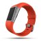Fitbit Surge智能乐活全能运动手表 (L) FB501TAL-CN