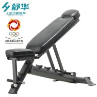 舒华健身房器材小飞鸟SH-N7011 商用可调节哑