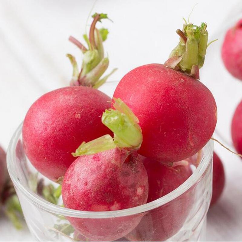 七果果樱桃小萝卜 3斤 红小水萝卜 新鲜菌菇 as