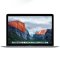 Apple MacBook 12英寸笔记本电脑 1.1GHz/8GB/256GB闪存(深空灰色) MLH72CH/A