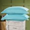 南极人(NanJiren) 色织水洗棉纯色四件套床单被套1.8m/1.5米床上用品学生宿舍 1.5/1.8米床通用款(被套200*230cm) 果绿米