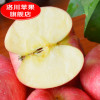 陕西特产洛川苹果水果红富士20枚75礼盒装原产地供货非烟台阿克苏