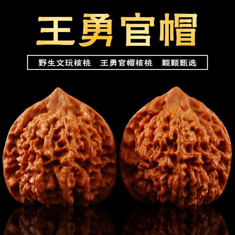  Ұˮҹñʨͷ¥