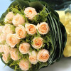 【只爱你一人】19枝香槟玫瑰花束 鲜花配送 帮客服务