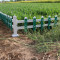 送立柱护栏围栏栅栏户外铁艺不锈钢庭院绿化带草坪篱笆栏PVC护栏 50CM高/米