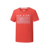 赛琪 短袖T恤男夏季新款学生韩版学跑步休闲运动T恤116515