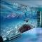 3D立体大型壁画壁纸海底世界海洋鱼儿童房游泳馆电视客厅背景墙纸_7 高档进口油画布（整幅)