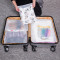 旅行收纳袋衣服衣物内衣整理密封袋行李箱分装透明家用防水打包袋_2 仙人掌特大3大3中3小3（共12个）