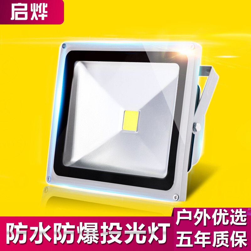 led投光灯防爆灯投射灯户外50W100W防厂房路灯广告灯工厂庭院灯 10W豪华款大功率-照射面积10平-白光