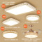 FSL 佛山照明 创意遥控灯分段调光调色LED客厅灯铁艺吸顶灯卧室灯灯饰 套餐10
