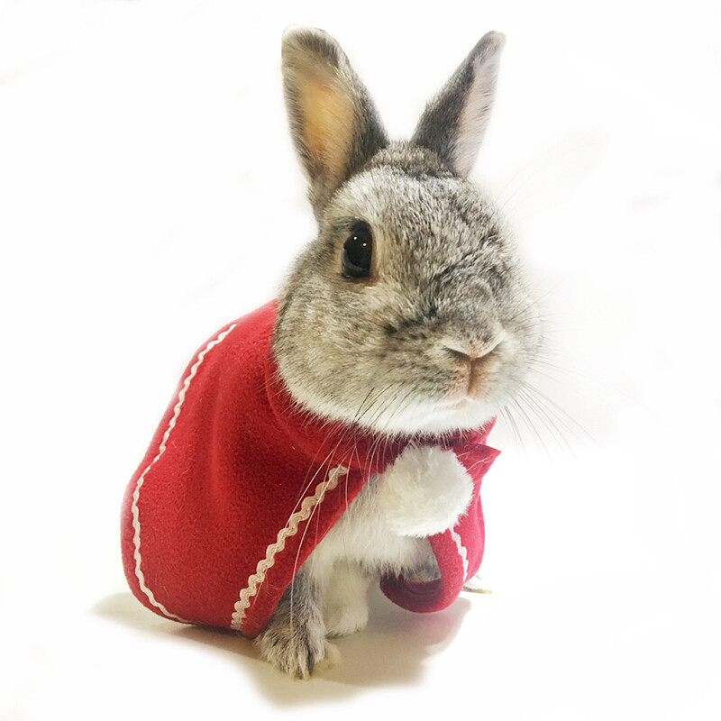 兔子衣服猫猫兔垂耳兔披风圣诞迷你裙兔子斗篷泰迪狗狗猫咪斗篷兔子装饰品_1 M码(适合脖围29-32cm的宝宝)