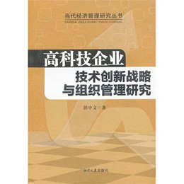 《高科技企业技术创新战略与组织管理研究》(