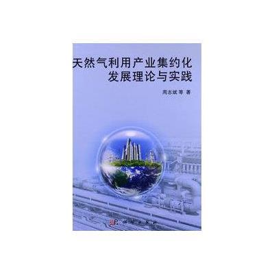 《天然气利用产业集约化发展理论与实践》(周