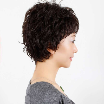 玫瑰雨 雅气质蓬松小碎卷 <em>中老年发型 </em>女士假发