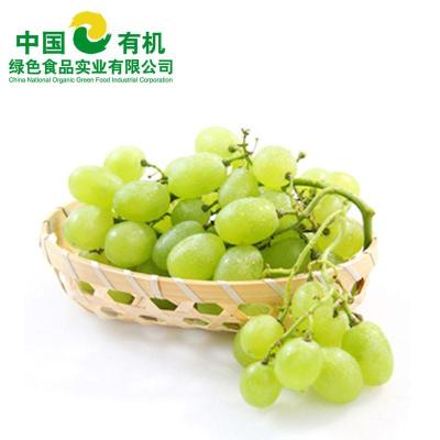 中国有机绿色食品 进口水果 美国青提 500g