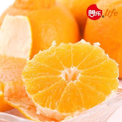 【想乐生活】四川不知火丑柑 1斤装 最甜柑橘
