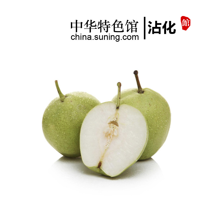 【沾化馆】 山东特产阳信鸭梨 梨子水果 2.5kg