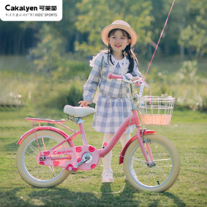 cakalyen儿童自行车女孩公主中大童单车3-6岁-12辅助轮女童儿童车