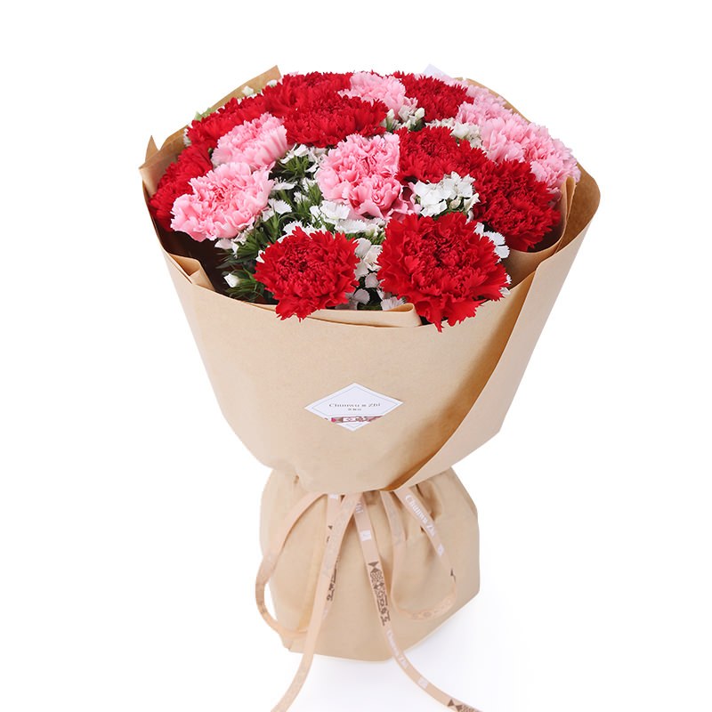 春舞枝18朵红粉康乃馨混搭花束鲜花速递母亲节节日礼物