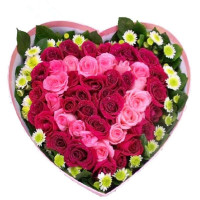 全国上海武汉同城送花北京鲜花速递 52枝混搭红粉玫瑰 心形礼盒