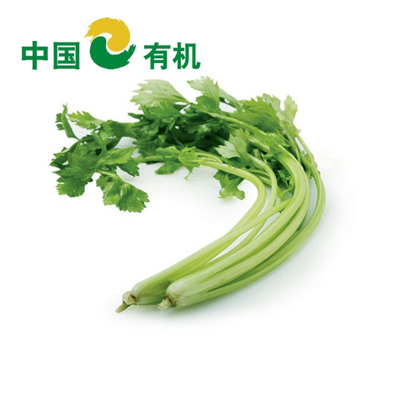 顺意生 【中国有机绿色食品】新鲜蔬菜 香芹500g