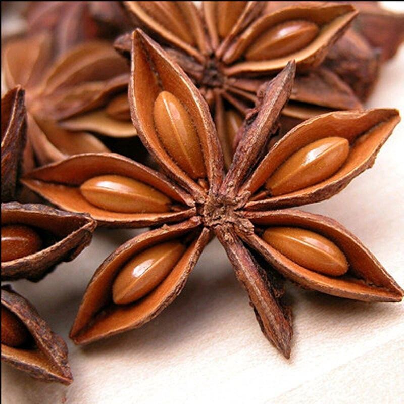 大料识别图图片大全