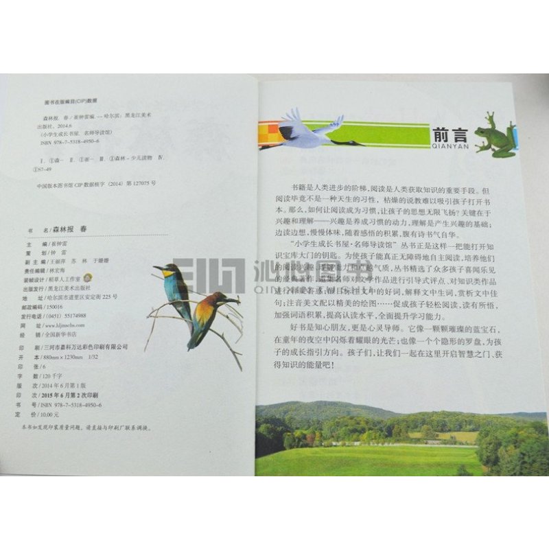 森林报春 小笨熊系列 注音彩绘版 儿童读物森林报春 少儿拼音童话故事