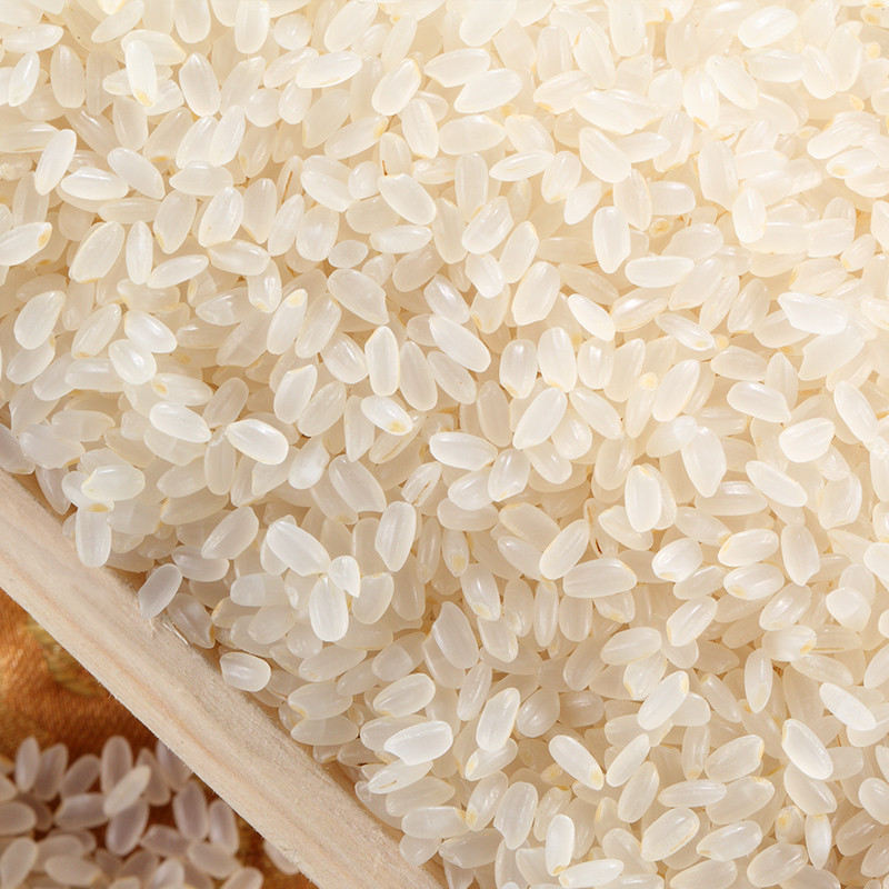 新米 东北正宗有机大米胚芽米留芽米婴童粥米自产一级梗米5kg10斤