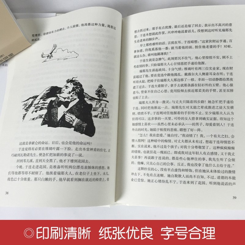 红与黑 世界经典文学小说名著 原著原版 全中文完整版图书 课外知识