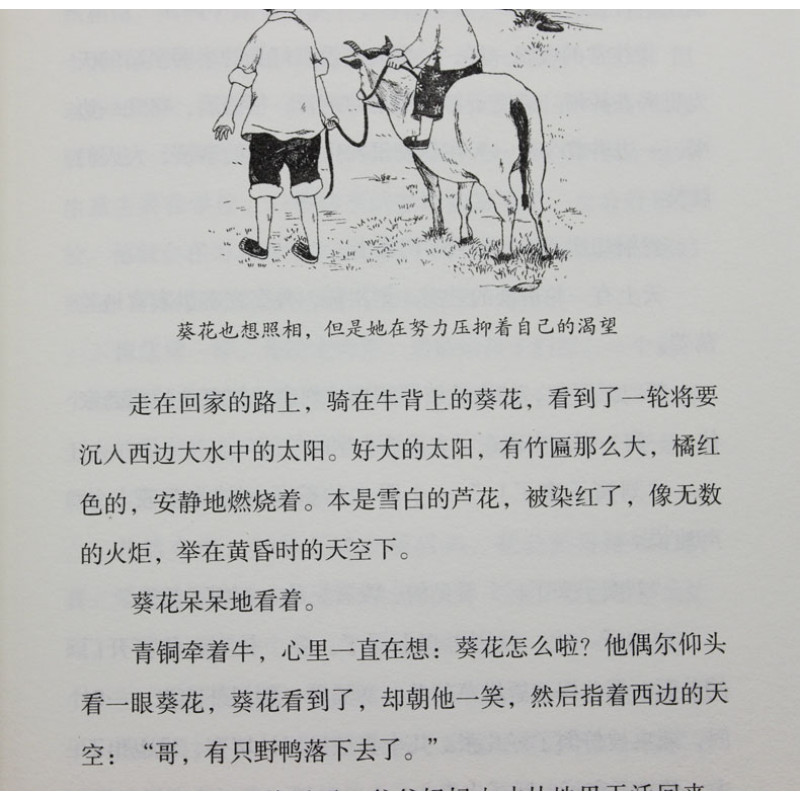 青铜葵花儿童文学名家经典书系7-10-12-14岁青少年少儿童文学故事图