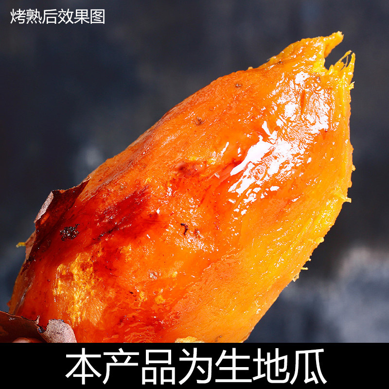 【海草房】威海荣成新品种地瓜 蜜薯烟薯25号5斤箱装 蜜糖地瓜红薯