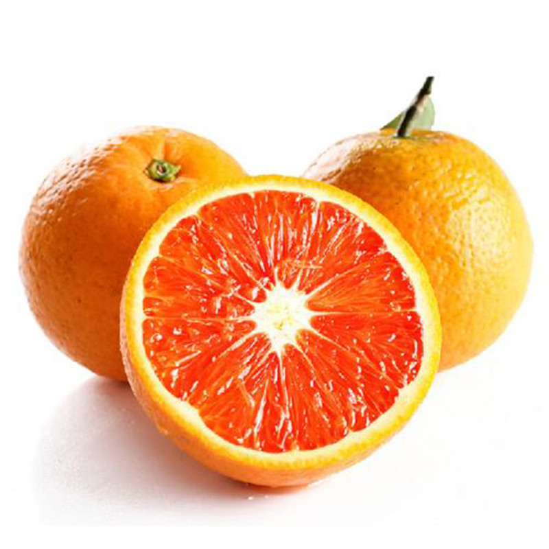 现摘现发血橙新鲜水果正宗四川血橙子非红心赣南脐橙