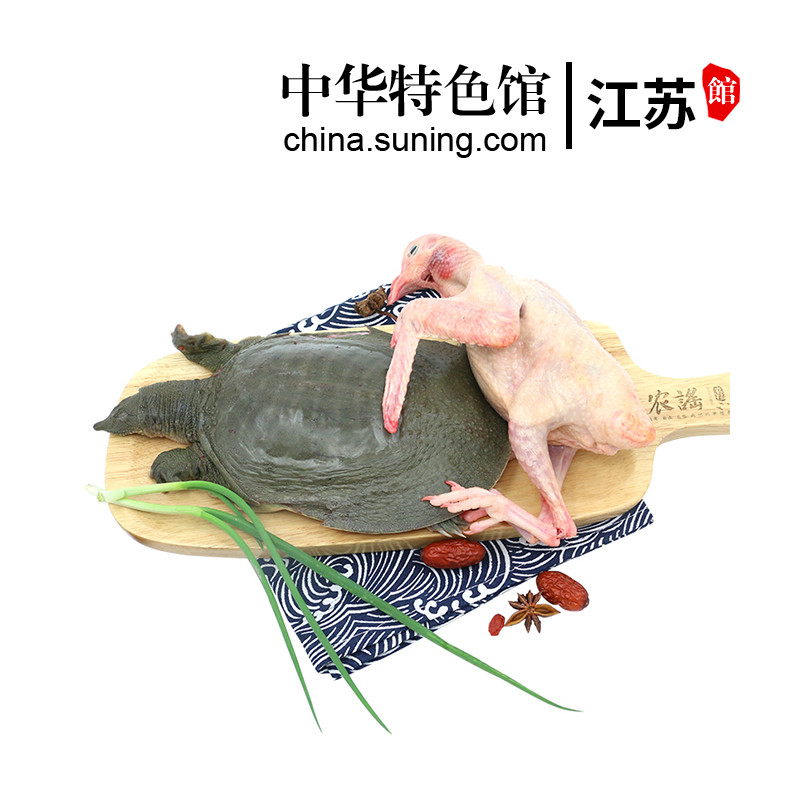[2件减30]农谣 新鲜鸽子肉炖甲鱼 传统名菜[沉鱼落雁]生鲜 鸽肉 现杀