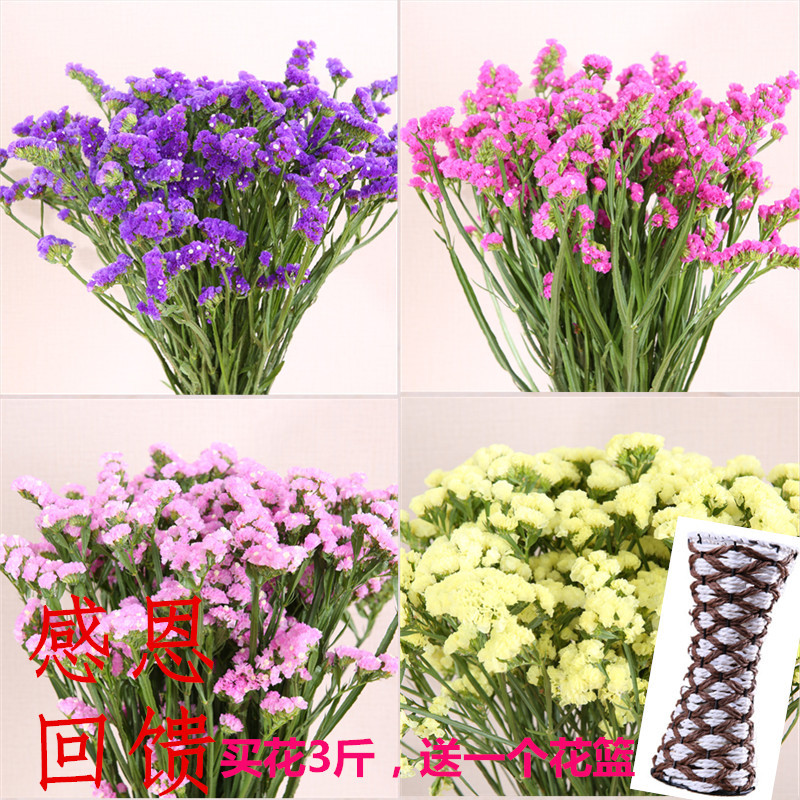 云南昆明斗南勿忘我天然干花花束手工插花真花