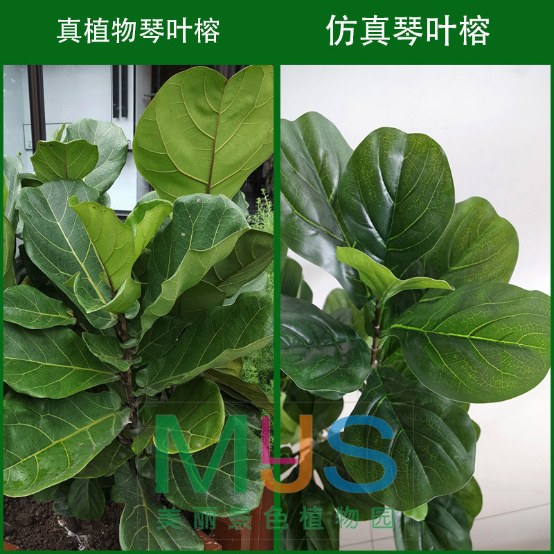 仿真琴叶榕盆栽大仿真植物北欧风格绿植盆栽客厅琴叶榕仿真树假树