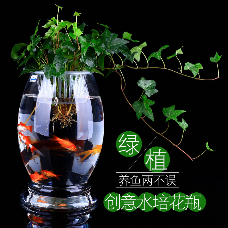 大号玻璃水培植物花瓶花盆透明恐龙蛋绿萝富贵竹水养鱼缸器皿容器