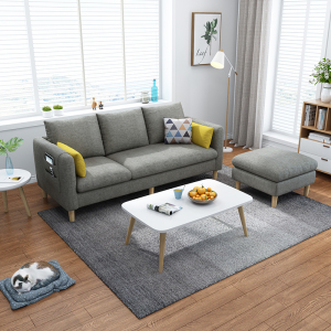 2019新款沙发小户型网红款 农村家用现代简约客厅组合双人便宜123