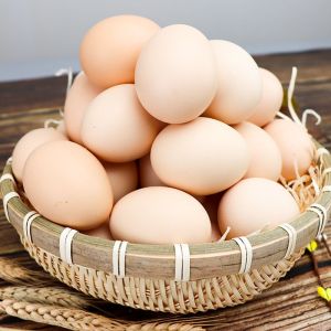 赛卡伊 正宗散养初生土鸡蛋新鲜农村笨鸡蛋20枚柴鸡蛋营养整箱