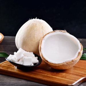 赛卡伊 进口椰白奶香椰青9颗老椰当季新鲜热带水果椰汁整箱进口